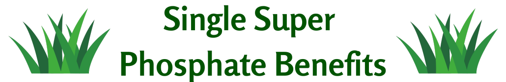 Single Super Phosphate Benefits